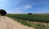 1000016677-3363