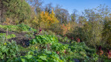 2022-11-21-jardins-jonfosse-49-2671