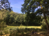 arboretum-seraing-01-3381