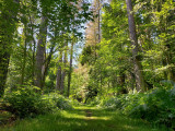 arboretum-seraing-03-3382