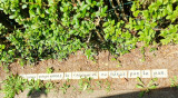 cointe2-02-3677