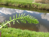 di-16082026-angleur-au-fil-de-l-eau-4-3577