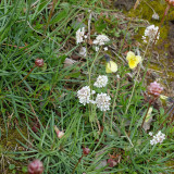 di-16082026-angleur-au-fil-de-l-eau-9-3581