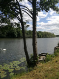 img-20190531-153613-3661