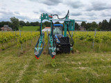 quantole-2-3700