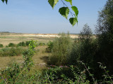 sa-22082026-romont-d-couverte-de-la-biodiversit-2-3584