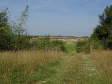 sa-22082026-romont-d-couverte-de-la-biodiversit-3-3583