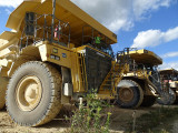 sa-22082026-romont-d-couverte-de-la-biodiversit-8-3590