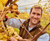 vignoble-4-3723