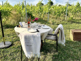 vignoble-6-3724