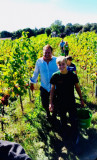 vignoble-8-3717
