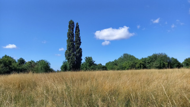 20230706-104010-2757