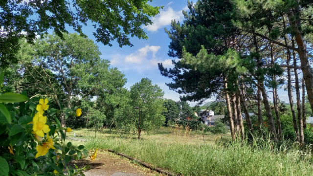 20230706-110941-2755