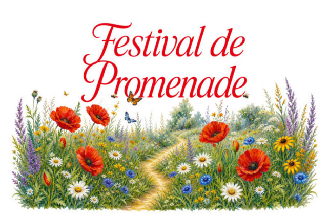 festivalprom26-750-3665