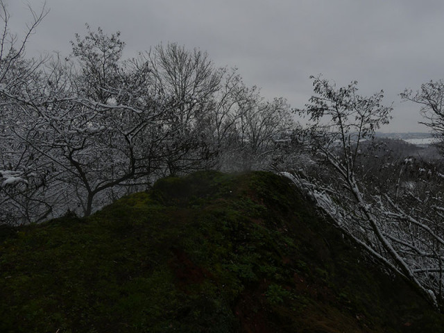 p1380862-3605