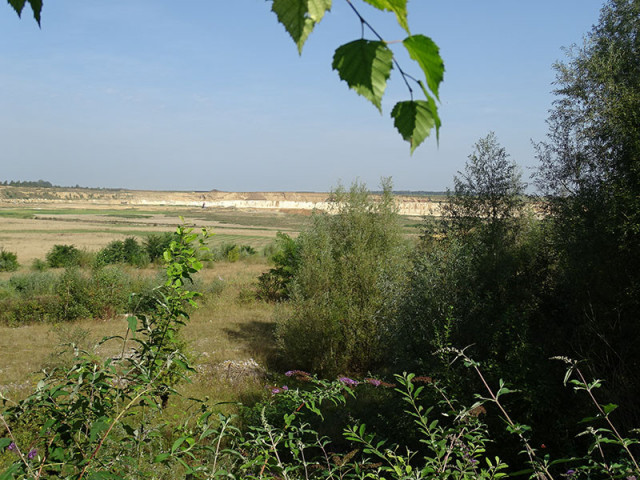 sa-22082026-romont-d-couverte-de-la-biodiversit-2-3584