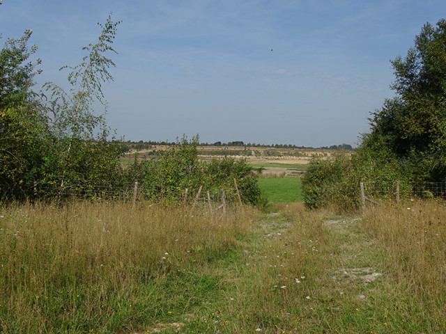 sa-22082026-romont-d-couverte-de-la-biodiversit-3-3583