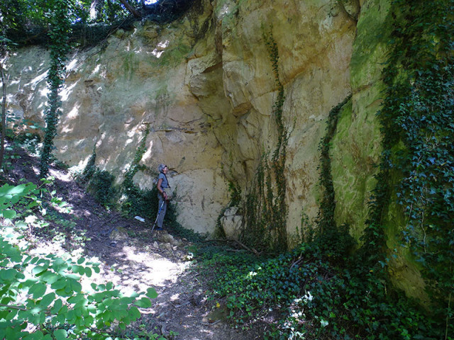 sa-22082026-romont-d-couverte-de-la-biodiversit-7-3589