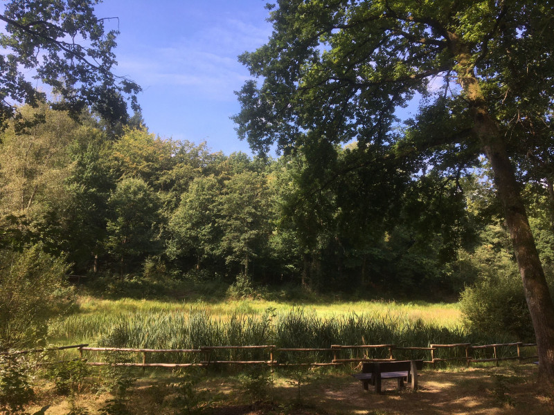 arboretum-seraing-01-3381