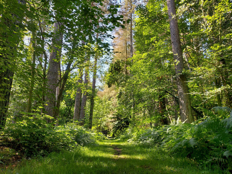 arboretum-seraing-03-3382