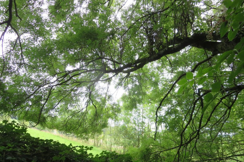 balade-hombourg-ao-t-2019-21-3456