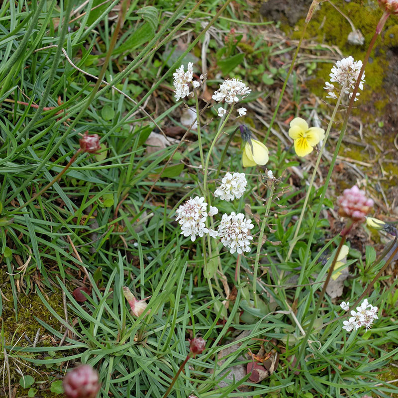 di-16082026-angleur-au-fil-de-l-eau-9-3581 di-16082026-angleur-au-fil-de-l-eau-9-3581