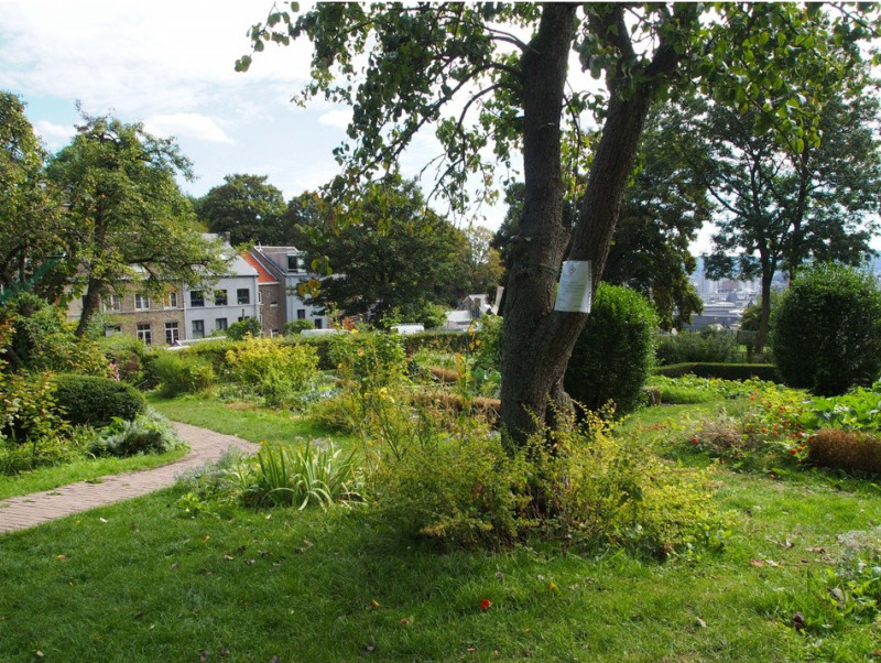 jardins-de-la-ferme-de-la-vache-photo-ville-de-li-ge-3402