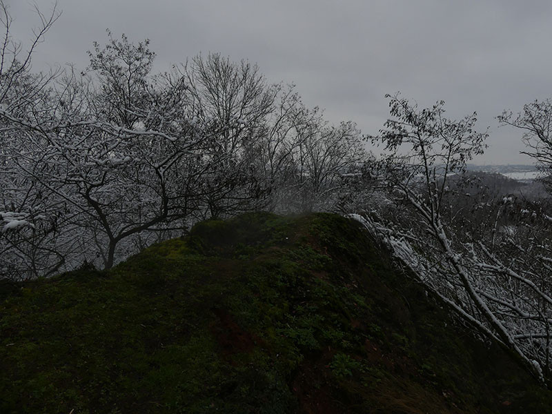 p1380862-3605