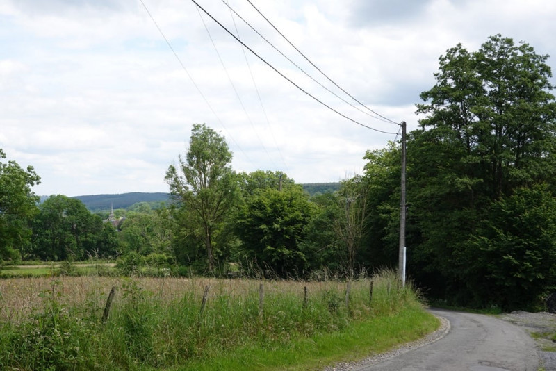 queue-du-bois-3357