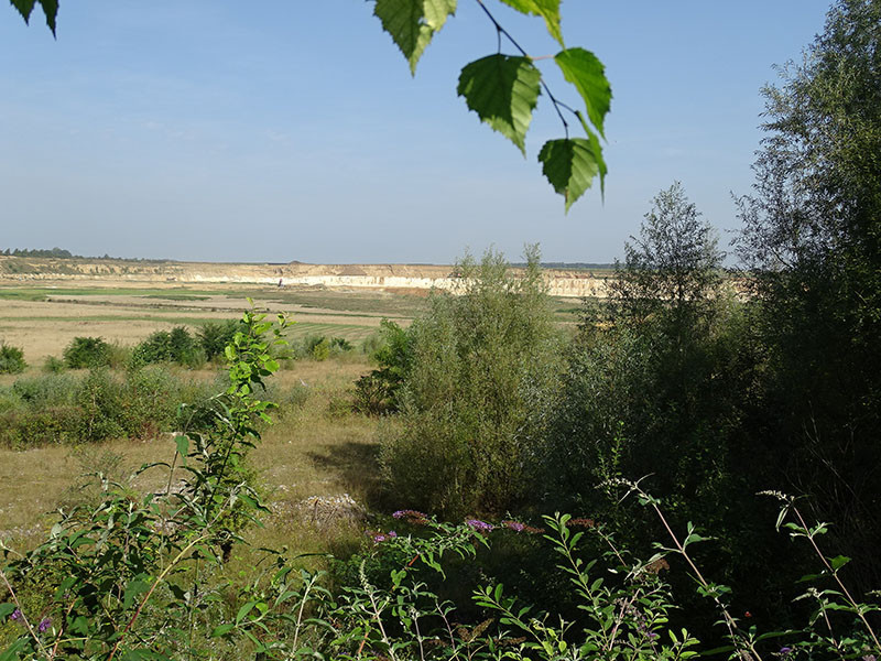 sa-22082026-romont-d-couverte-de-la-biodiversit-2-3584 sa-22082026-romont-d-couverte-de-la-biodiversit-2-3584